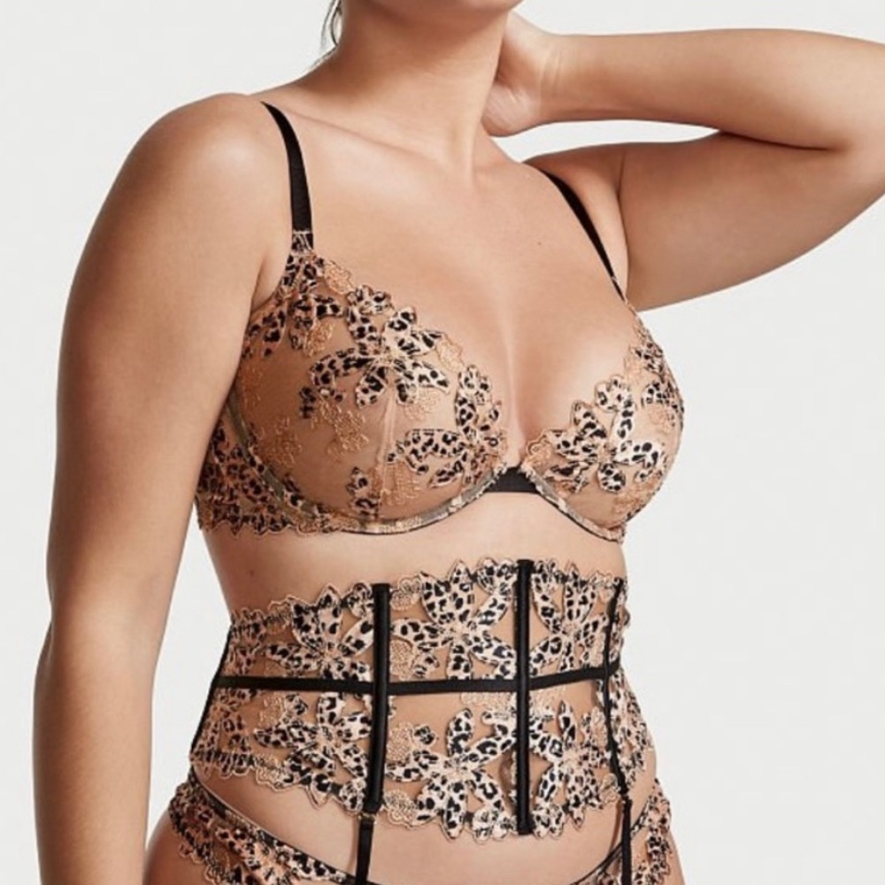 Victoria’s Secret Embroidered Demi Bra and garter belt